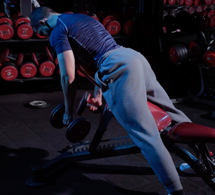 Back Exercises